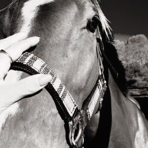 Meet your Posher, Candace